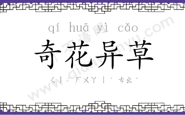 奇花异草 奇花异草