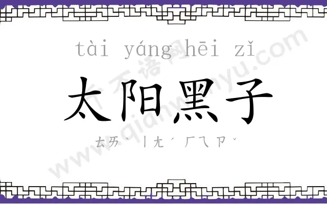 太阳黑子 太阳黑子