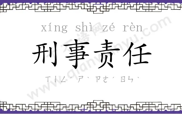 刑事责任 刑事责任
