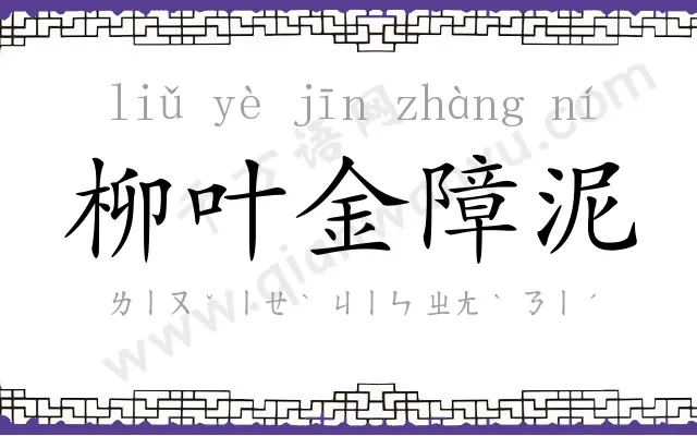 柳叶金障泥 柳叶金障泥