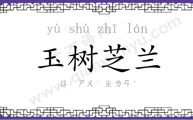 玉树芝兰 玉树芝兰