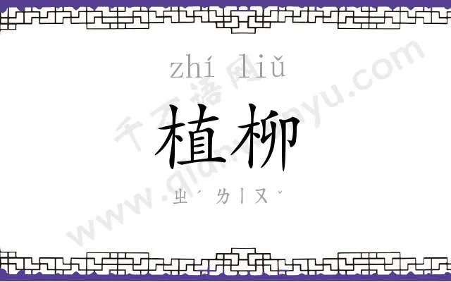 植柳