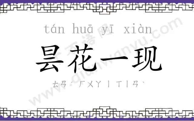 昙花一现 昙花一现