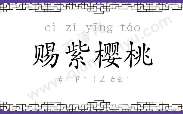 赐紫樱桃 赐紫樱桃