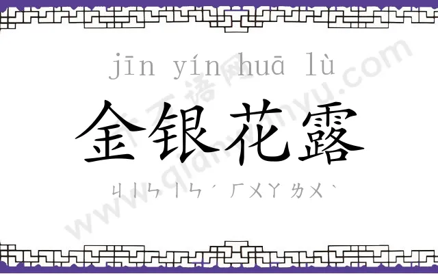 金银花露 金银花露