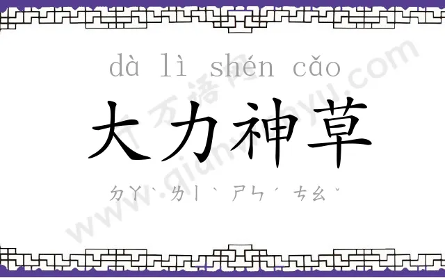 大力神草 大力神草