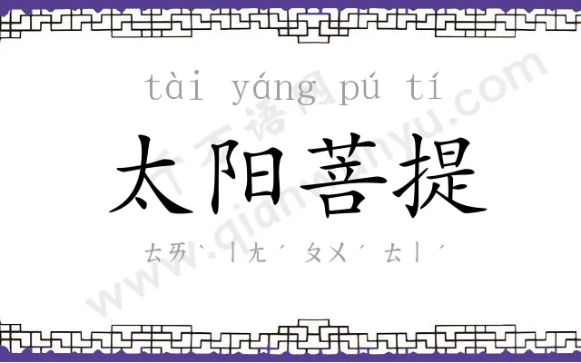 太阳菩提 太阳菩提