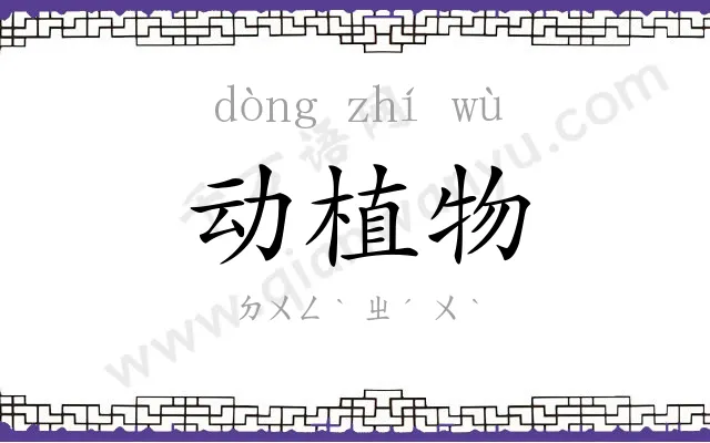 动植物 动植物