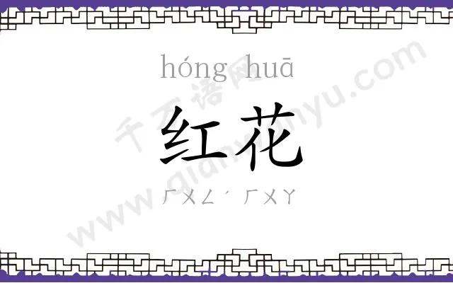 红花 红花