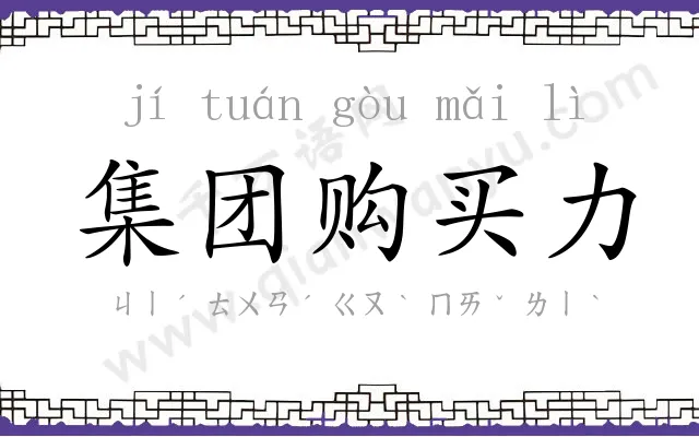 集团购买力 集团购买力