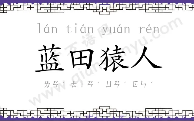 蓝田猿人 蓝田猿人