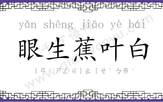 眼生蕉叶白 眼生蕉叶白