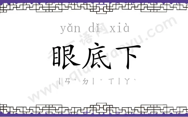 眼底下 眼底下