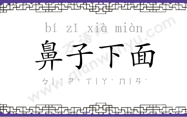 鼻子下面 鼻子下面