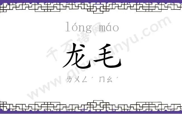 龙毛