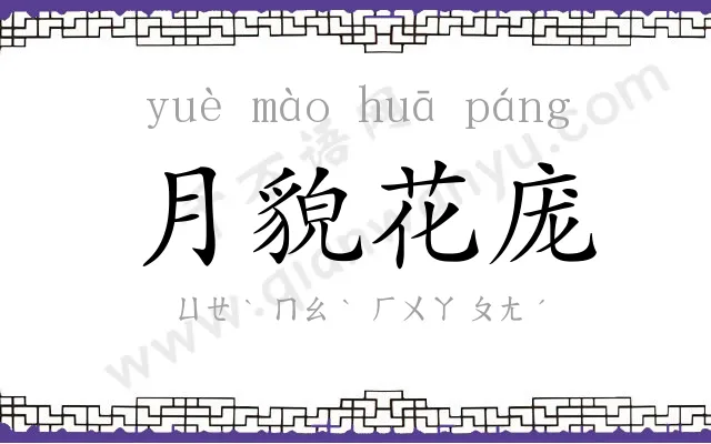 月貌花庞 月貌花庞