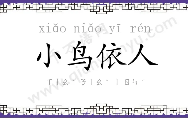 小鸟依人 小鸟依人