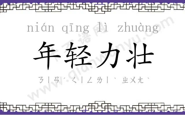 年轻力壮 年轻力壮