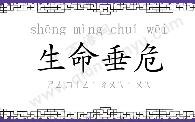 生命垂危 生命垂危