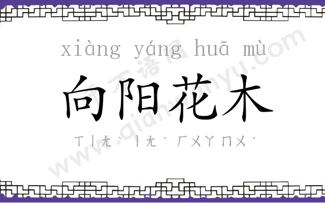 向阳花木 向阳花木