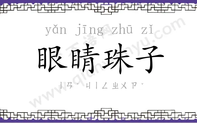 眼睛珠子 眼睛珠子