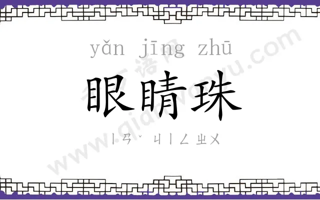 眼睛珠 眼睛珠