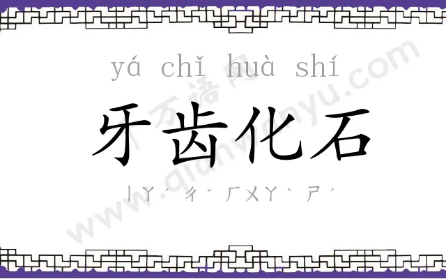 牙齿化石 牙齿化石