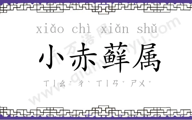 小赤藓属 小赤藓属