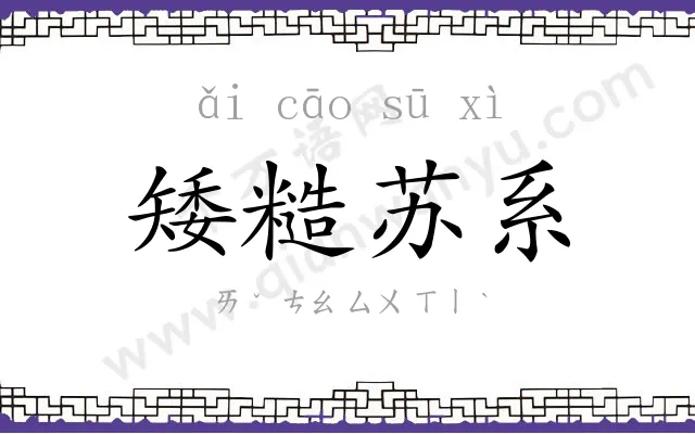 矮糙苏系 矮糙苏系