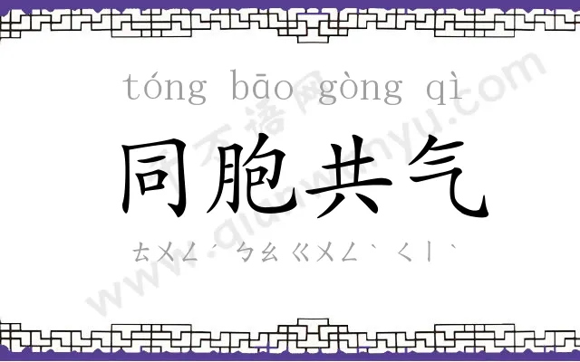 同胞共气 同胞共气
