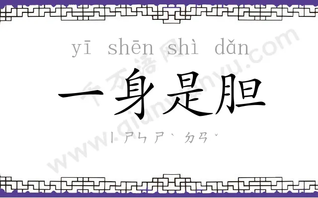 一身是胆 一身是胆