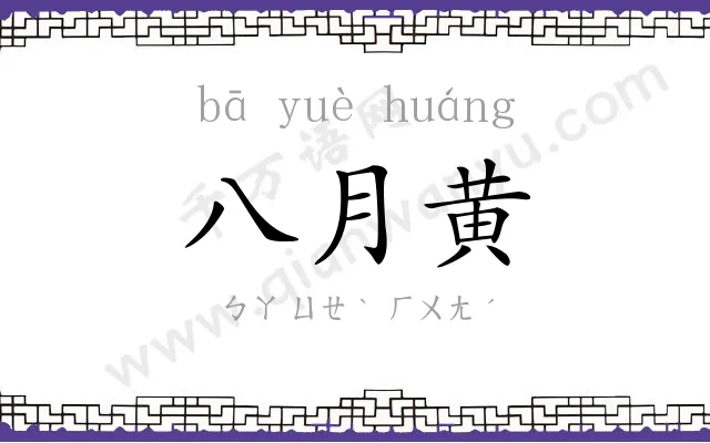 八月黄 八月黄
