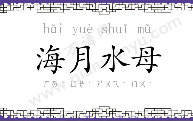 海月水母 海月水母