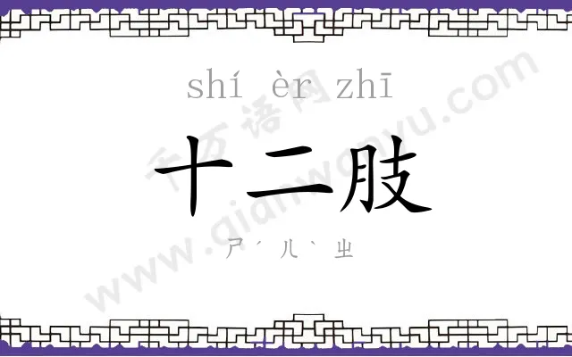 十二肢 十二肢