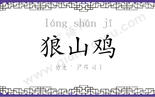 狼山鸡 狼山鸡