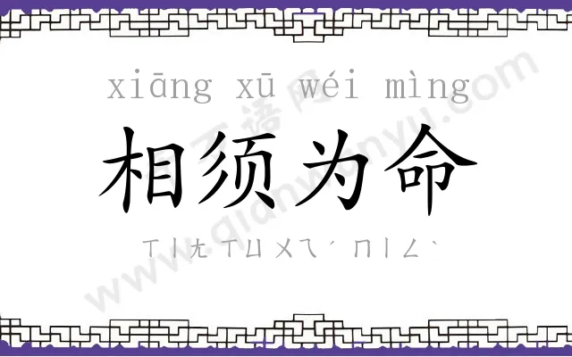 相须为命 相须为命