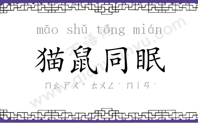 猫鼠同眠 猫鼠同眠