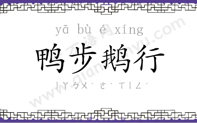 鸭步鹅行 鸭步鹅行