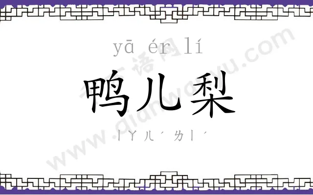 鸭儿梨 鸭儿梨
