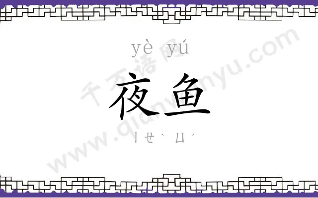夜鱼