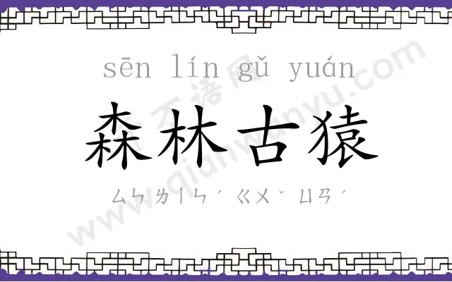 森林古猿 森林古猿