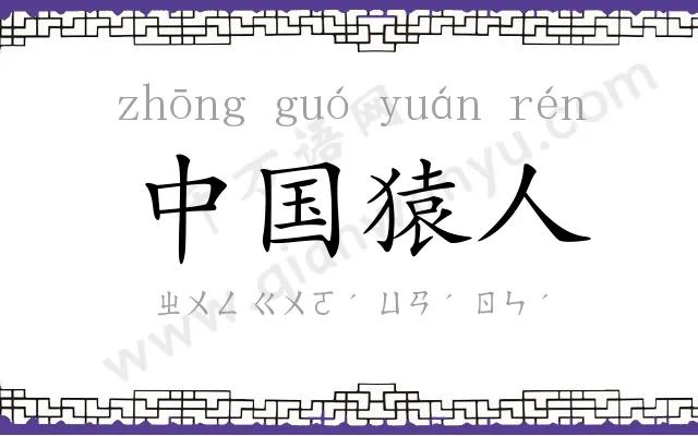 中国猿人 中国猿人