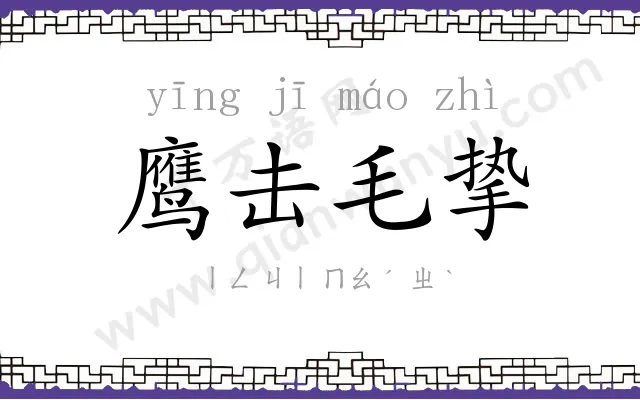 鹰击毛挚 鹰击毛挚