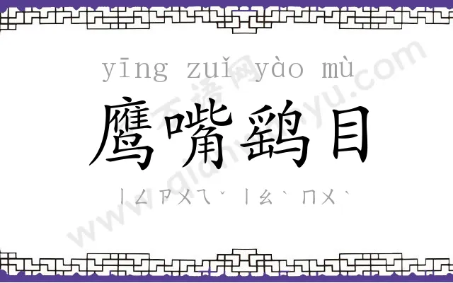 鹰嘴鹞目 鹰嘴鹞目