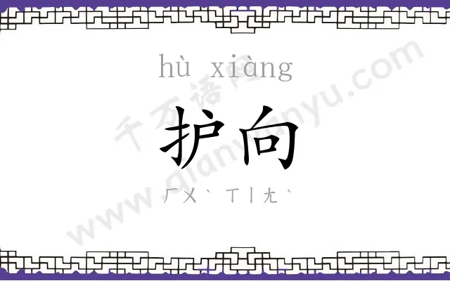 护向
