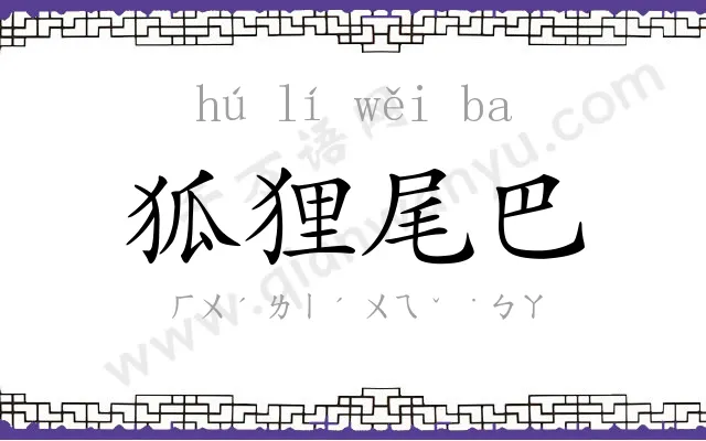 狐狸尾巴 狐狸尾巴