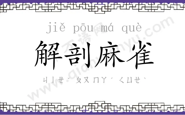 解剖麻雀 解剖麻雀