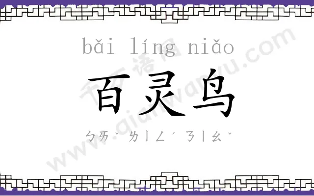 百灵鸟 百灵鸟