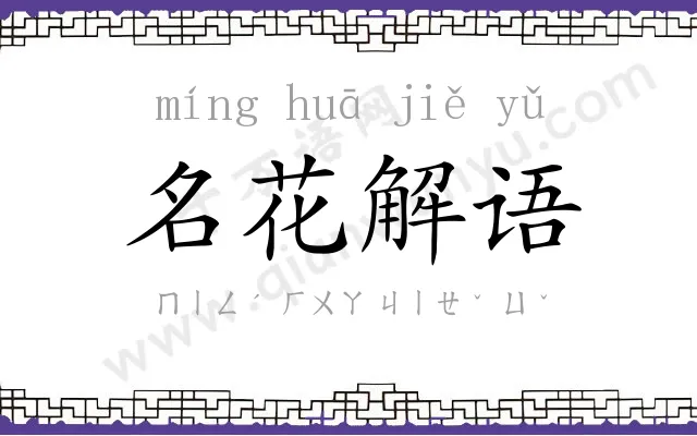 名花解语 名花解语