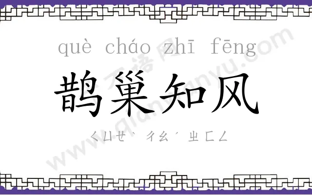 鹊巢知风 鹊巢知风